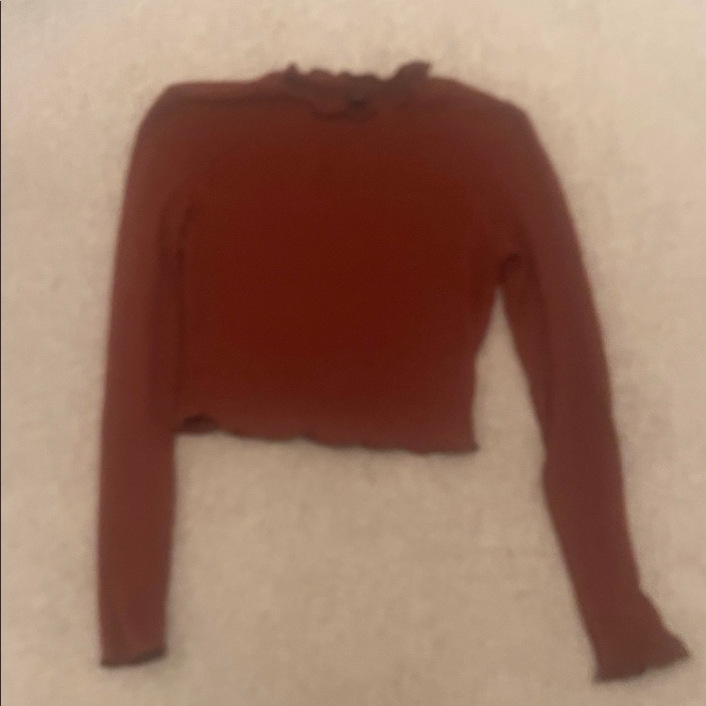 SHEIN Rust Long Sleeve Crop Top